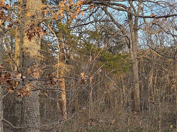 5th image of 57616 S 36960th Rd