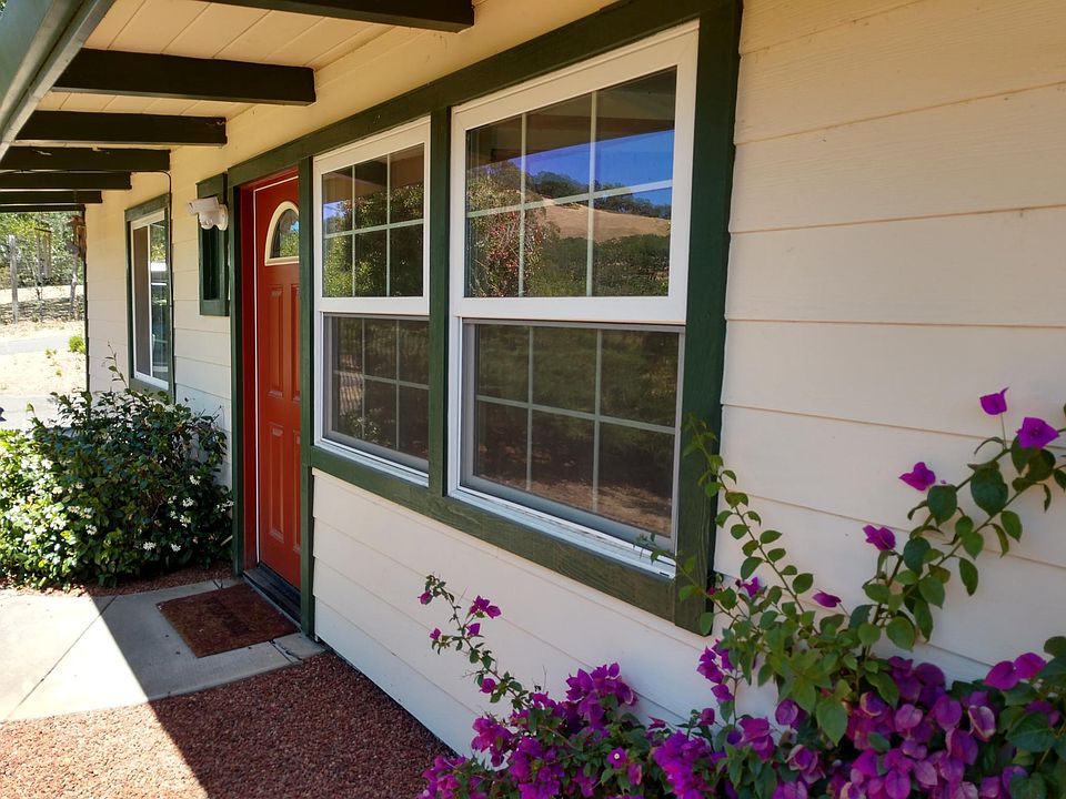 Easy maintenance landscaping