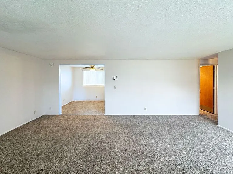 345 Moore St — Photo 3