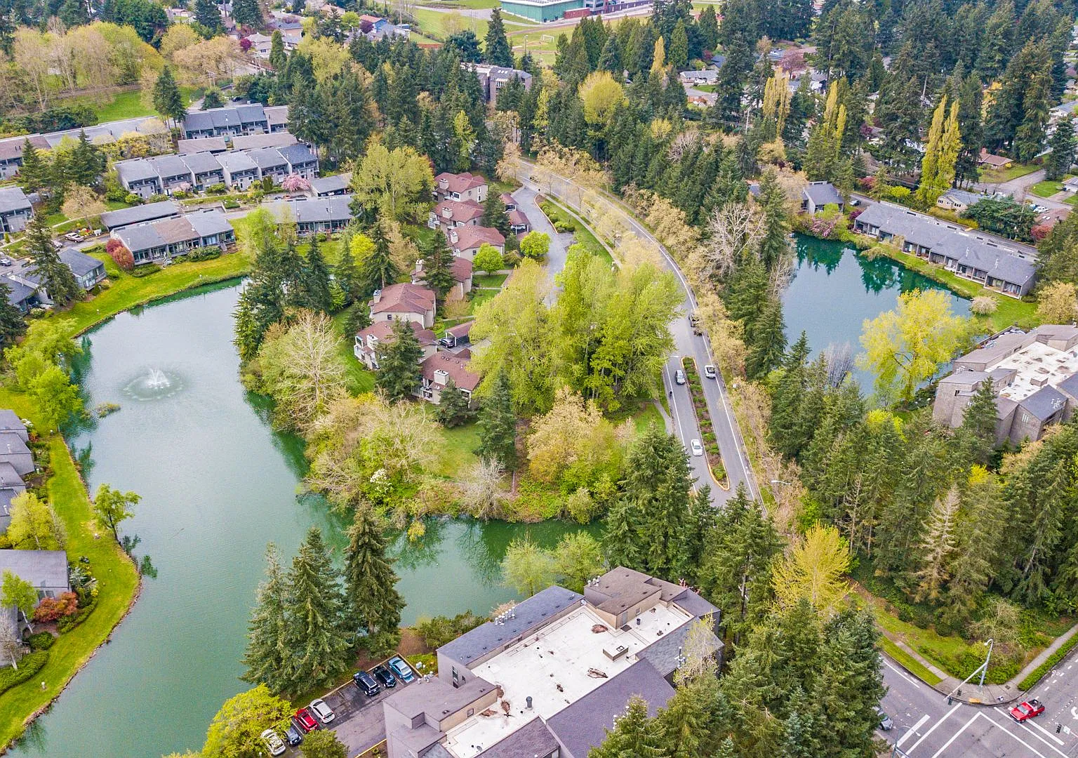 Serene Lake Views & Spacious Top-Floor Living Near Microsoft & Google — Photo 3