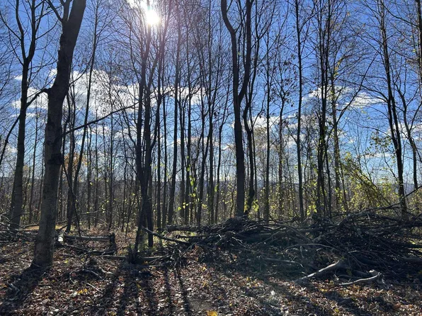 Spruce Run Rd, Terra Alta, WV 26764
