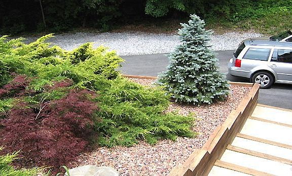 Grounds