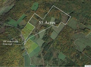3424 Johnson Hollow Rd, Prattsville, NY 12468