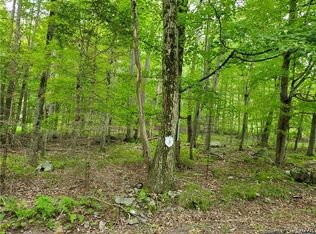 3 Tall Oak Dr LOT 3, Pocono Lake, PA 18347