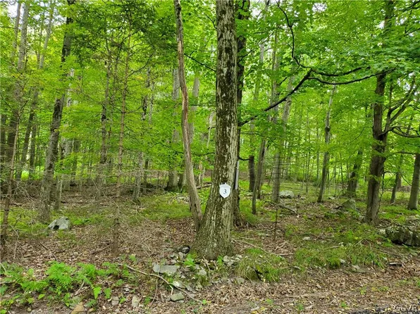 3 Tall Oak Dr Lot 3, Pocono Lake, PA 18347