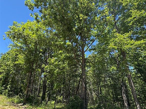 3rd image of 61 Ridge Rd Lot 61