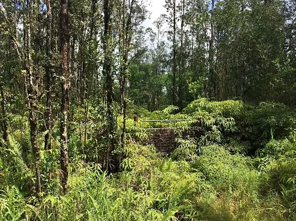 Road 3 Hopue Lot 3193, Kurtistown, HI 96760