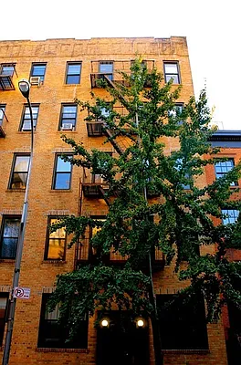 Rented by Living New York | media 16