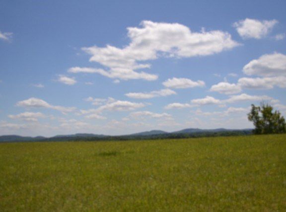 5th image of LOT-61C Walleye Rd
