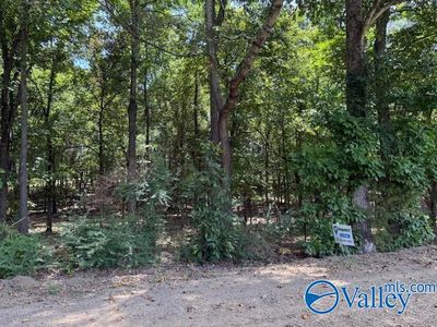 TRACT 1 Romine Rd, Athens, AL, 35614