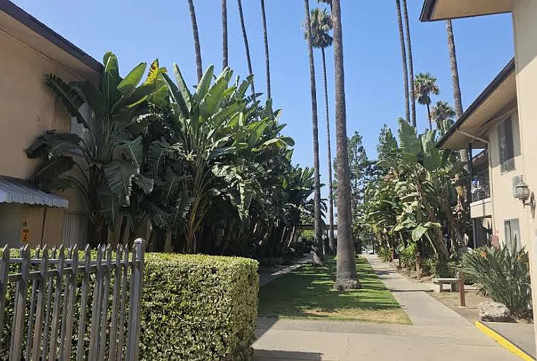 826 N Barranca Ave — Photo 13