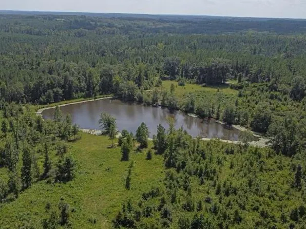 LOT Pineville Rd, Buena Vista, GA 31803