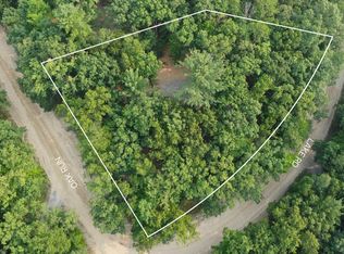 4681 Lake Rd, Farwell, MI 48622