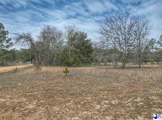 Ozelma Dr, Dillon, SC 29536