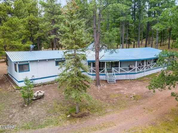 52 County Road 2271, Alpine, AZ 85920
