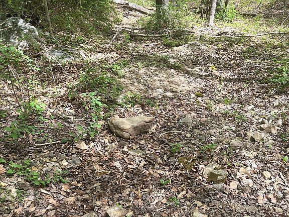 5th image of Fall Run Lane Acres Total #15