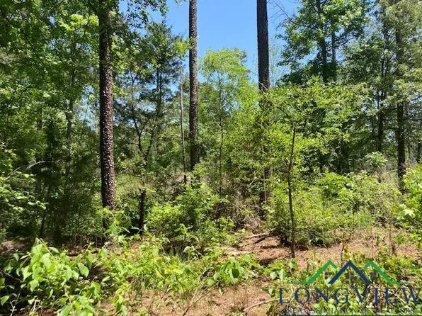 Fm 2454, Gilmer, TX 75644