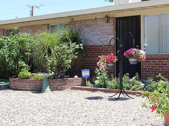 Mini-rose bushes and more!