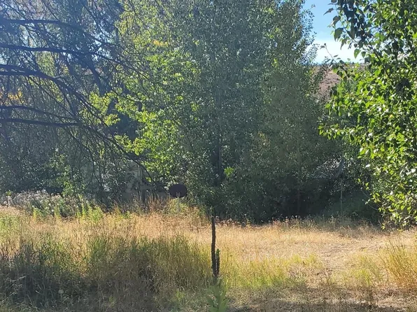 91 E Tampico Park Rd, Union Gap, WA 98903