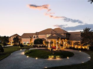 11438 Hammock Oaks Ct, Lithia, FL 33547