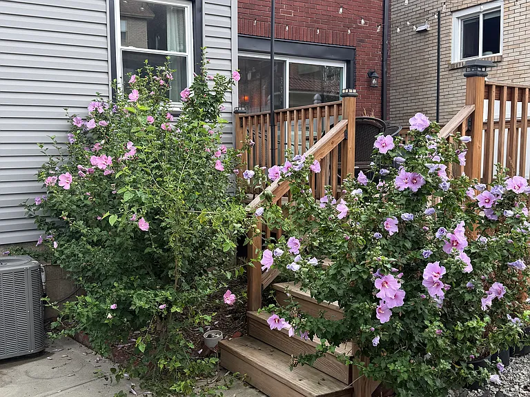6356 Monitor St — Photo 31