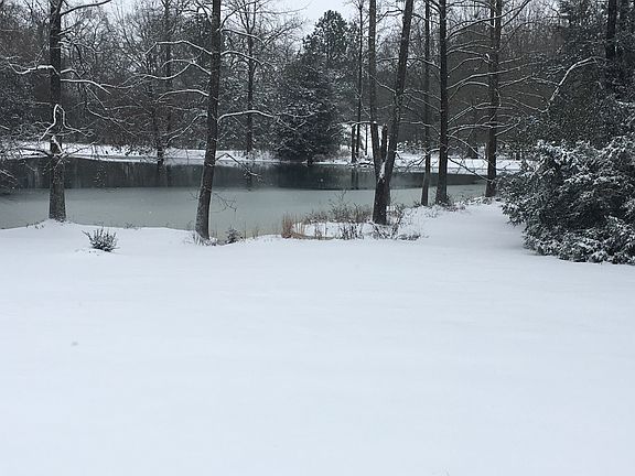 View from the front porch.