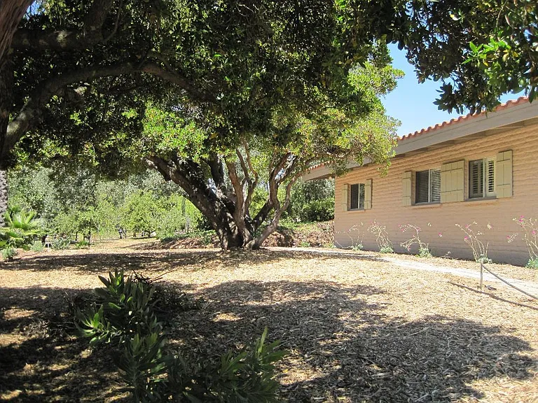 16613 N Mesa Dr — Photo 15