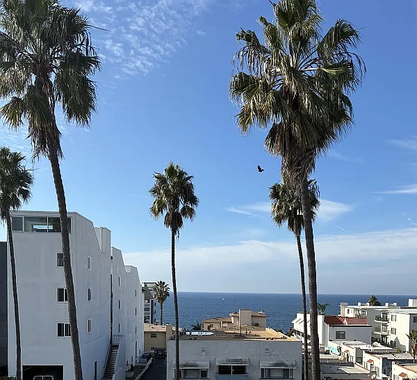 Catalina Cove — Photo 7