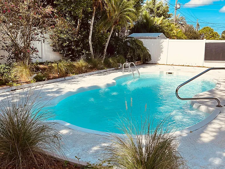 Pool and back yard