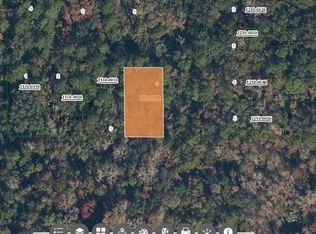 Paradise Lakes Ave #4, Georgetown, FL 32139