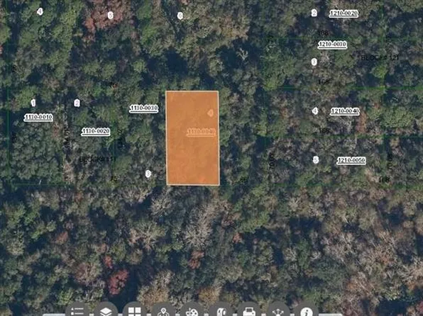 Paradise Lakes Ave #4, Georgetown, FL 32139