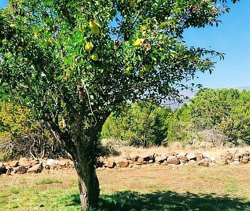 5th image of 24593 Timothy Road