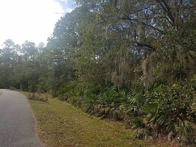2nd image of 118 Serenoa Dr