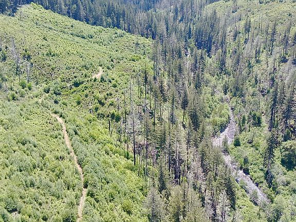 2nd image of Crooked Finger Rd