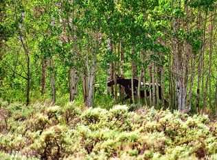 5725 N Dry Valley Rd, Helper, UT 84526