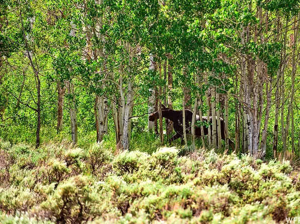 5725 N Dry Valley Rd, Helper, UT 84526