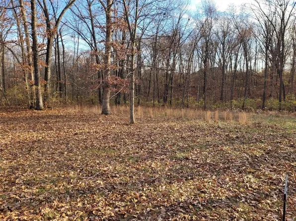 128 Saxony Woods Dr, Foley, MO 63347