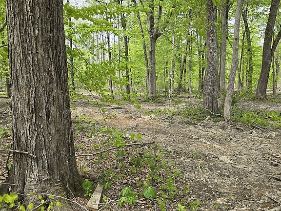 3rd image of 0 S Taylor Rd Lot Wp001
