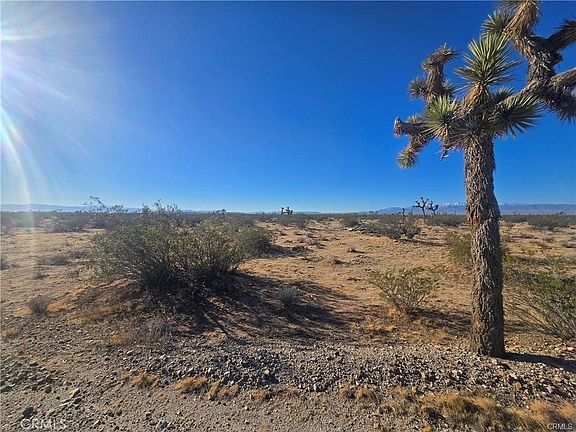 2nd image of 11955 Coronado Ave