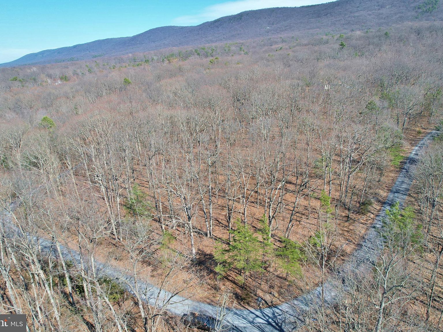 Brush Leaf Ln, Mount Jackson, VA 22842 MLS VASH2005680 Zillow