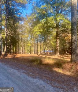 1741 Barton Bridge Rd, Monroe, GA, 30655