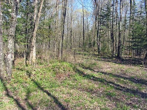 2nd image of Kleutsch Dr