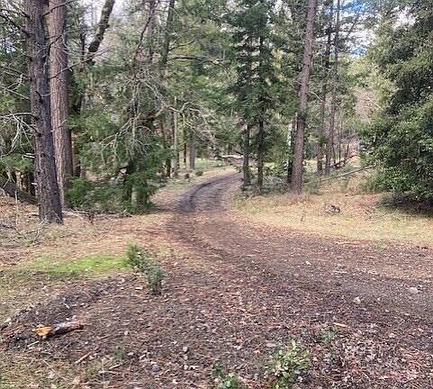 2nd image of 6275 Van Duzen Rd