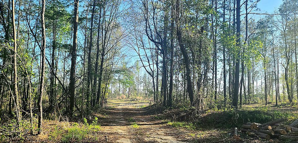 Entrance to property
