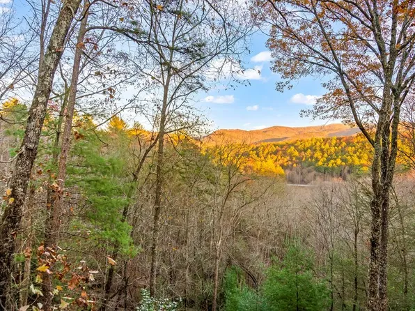 22 Candice Ct N, Cherry Log, GA 30522