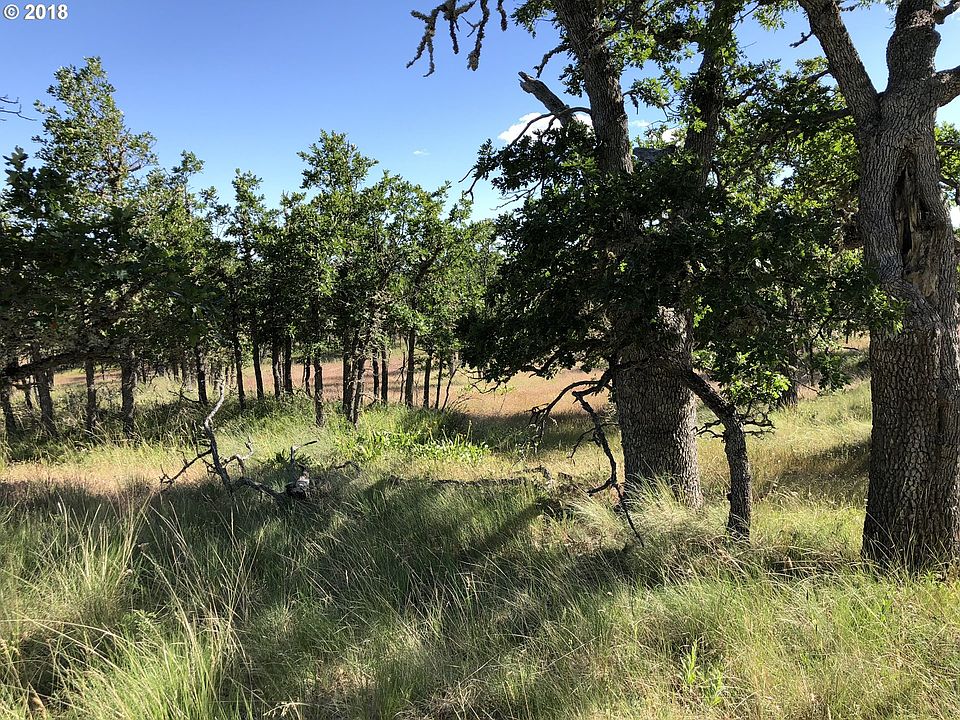 1st image of Piney Woods #3
