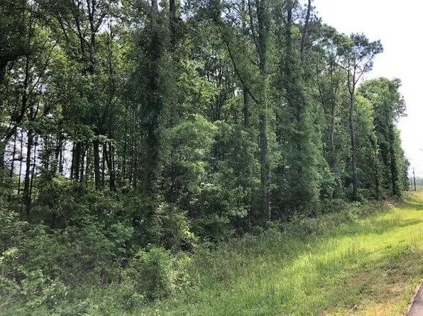 Fountain Dr, Forest, MS 39074