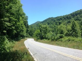 P32-8 Holbert Cove Road, Saluda, NC 28773