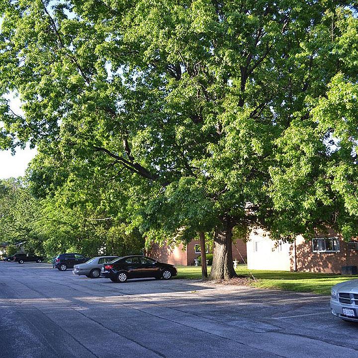1st image of 33145 Vine St #29