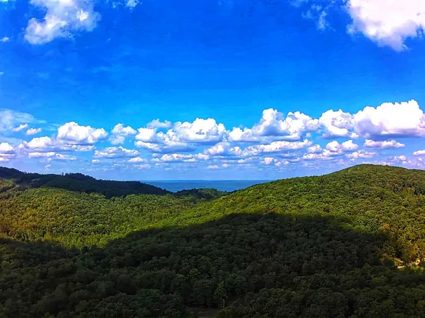 64 Big Ridge Rd, Spring City, TN 37381